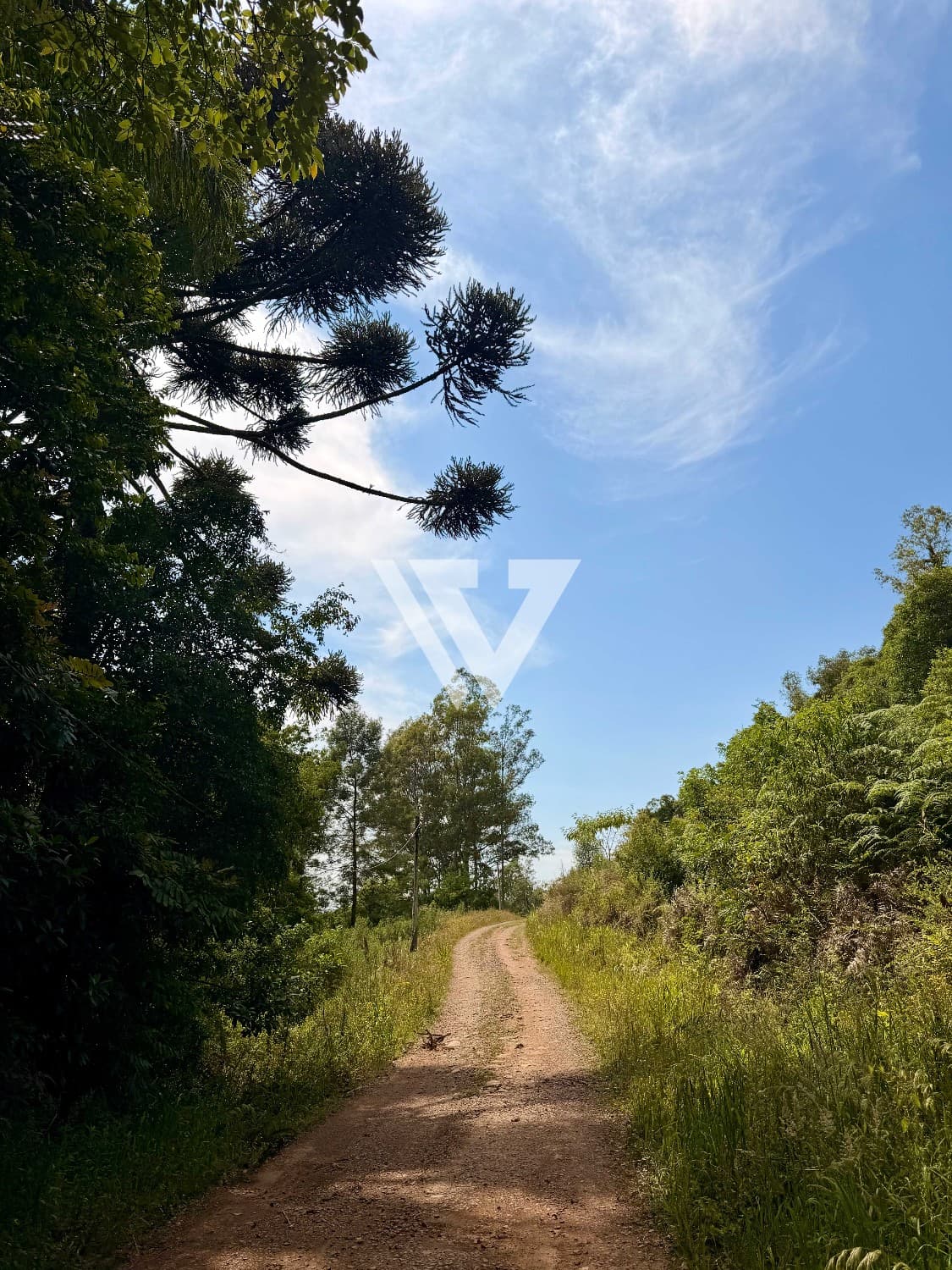 Sua terra na Serra Gaúcha, com escritura pública
